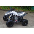 Jinyi Factory The Cheap Wholesale 110cc ATV pour enfants (JY-100-1A)